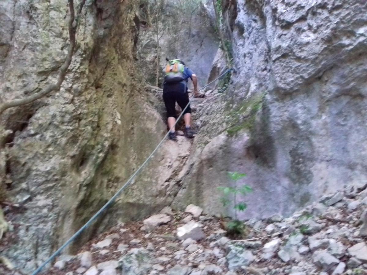 Gites Du Combeau Saint-Maurice-dʼIbie Kültér fotó